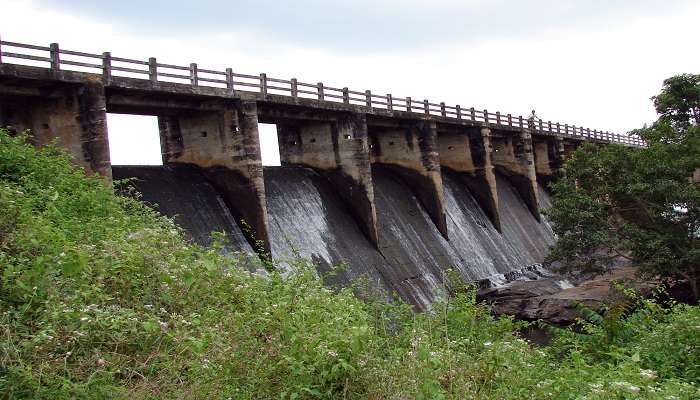  Scenic view of Unnichchai Tank with lush green vegetation and calm Waters.