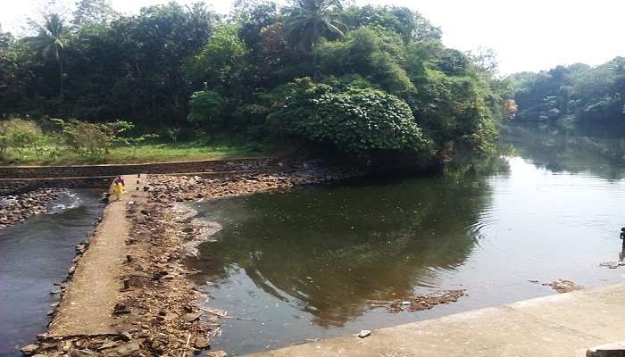 Achankovil River Guide To Its Mystical Charm To Explore