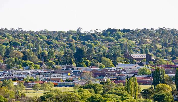 Things to do in Armidale