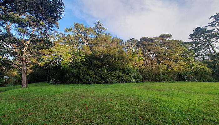 Titirangi Reserve