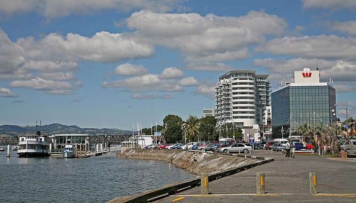 Tauranga, Bay of Plenty region (New Zealand).