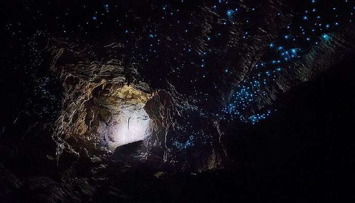 The ethereal glow of glowworms in the Waitomo Glowworm Caves.