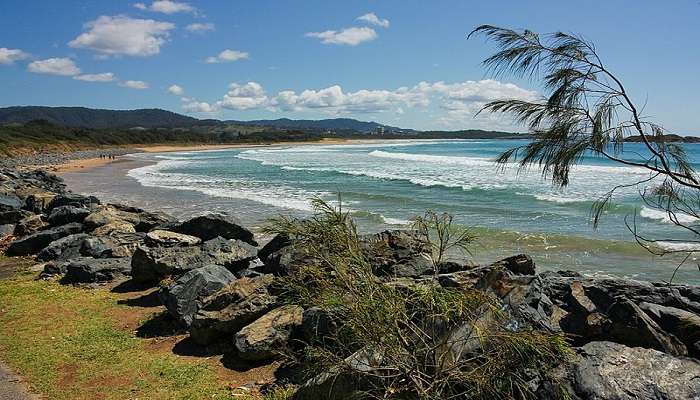 A beautiful view of Coffs Harbour.