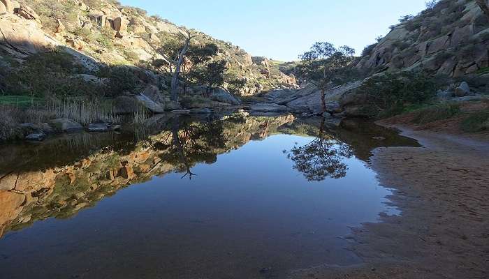 Port Augusta Guide To Witness Natural Beauty With Cultural Spots