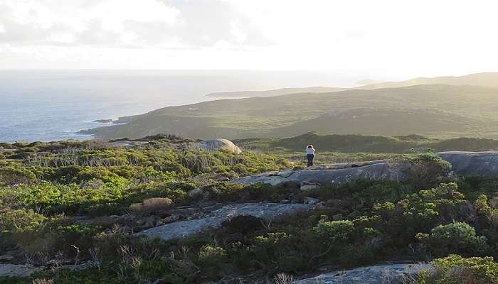 Torndirrup National Park