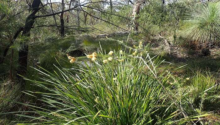 Torrington State Conservation Area