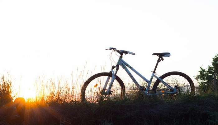 visit the bike park at the Tumut.