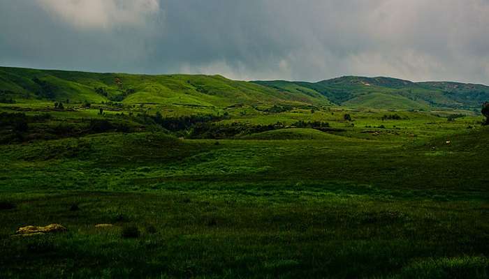 View of Meghalayan hills covered in lush green forests