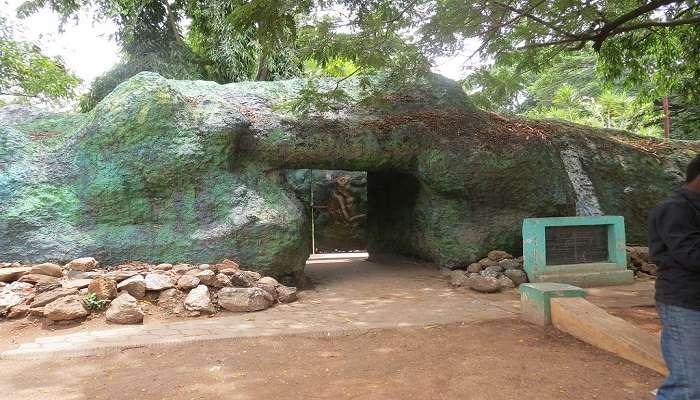 View of a dense cave in the zoo near the vadavalli.