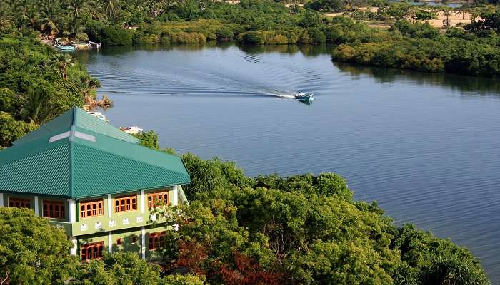 Batticaloa Lagoon is a serene and picturesque water body known for its rich biodiversity