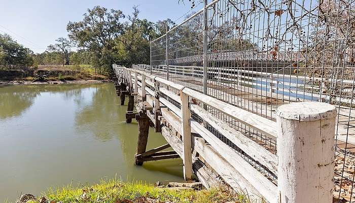 Pretty view while you bike along Wodonga Creek, which is the best things to do in Wodonga.