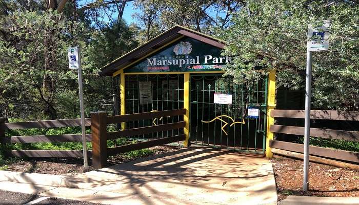 Visit the Marsupial Park and Tamworth Orchards.