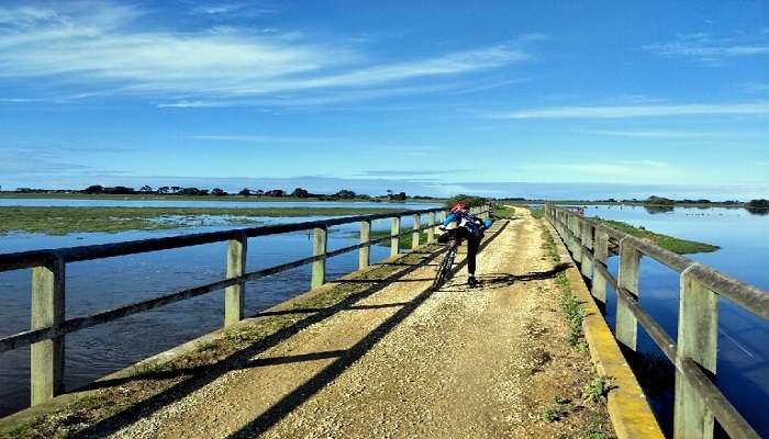 Explore the hilly terrain of Heritage Trail near Warrnambool