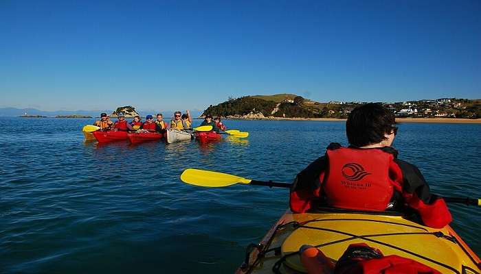 When in new zealand, do not miss out on going kayaking.