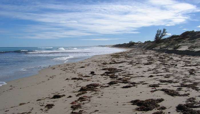  View of the serene and tranquil Sunset beach in Geraldton