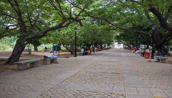 Bharathi Park Puducherry to visit during the best time.