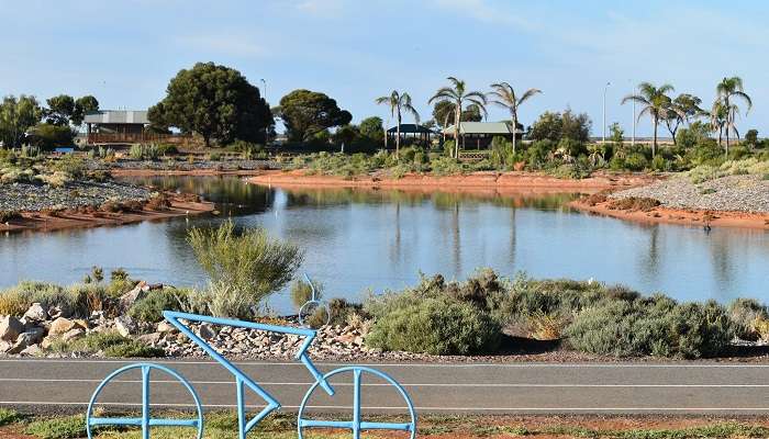 An amazing view of the Whyalla Wetlands Park