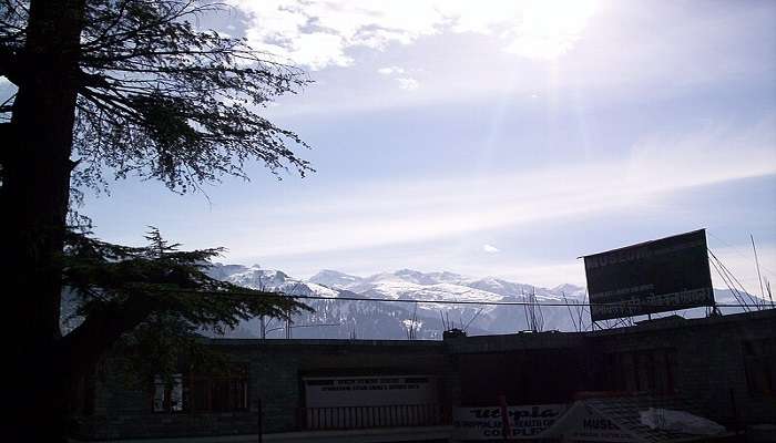 View from Museum of Himachal Culture & Folk Art.