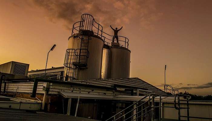 Wyong Milk Factory