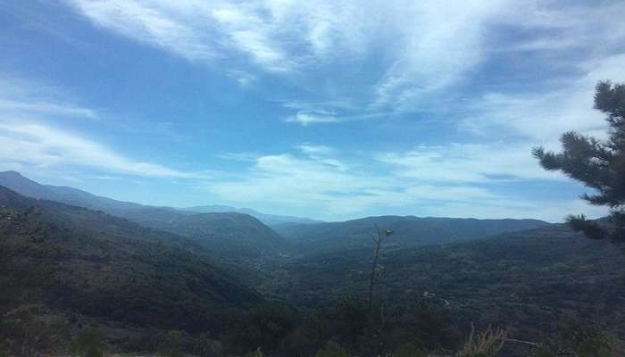 Sky view of Yenice Forest