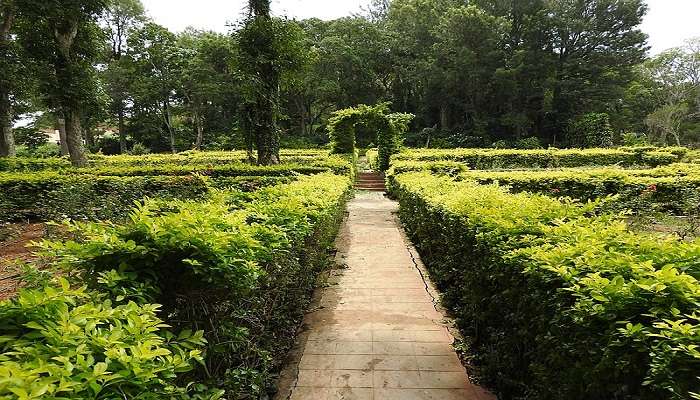 Visit the Yercaud Botanical Garden