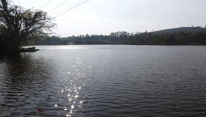 A breathtaking view from Pagoda Point in Yercaud, overlooking the valley