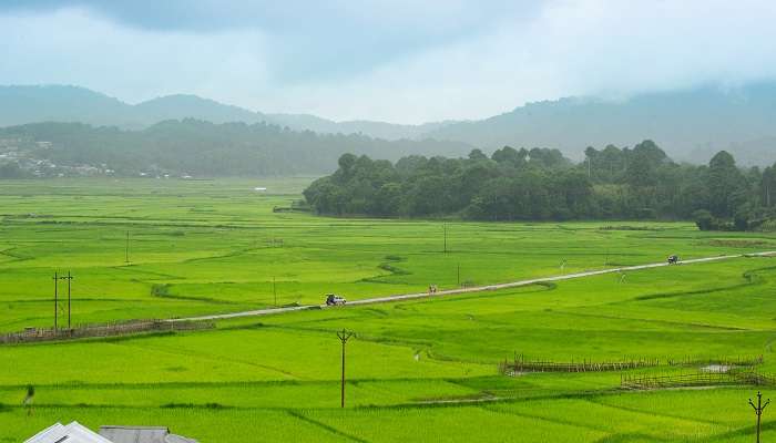 Ziro Valley