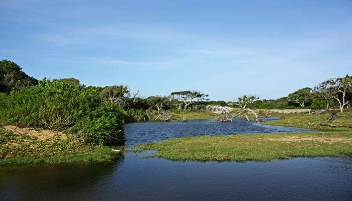 kumana national park