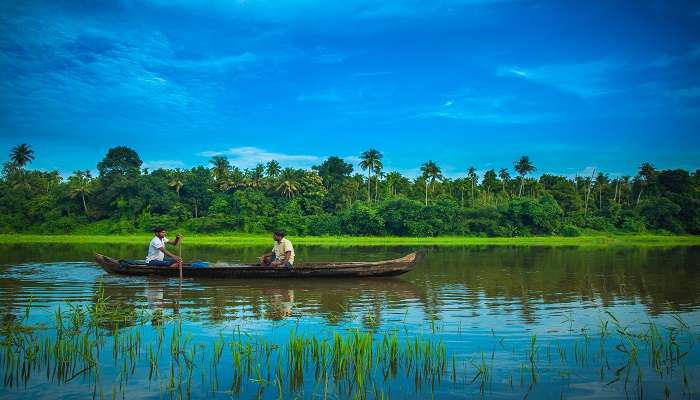 hotels-near-chalakudy