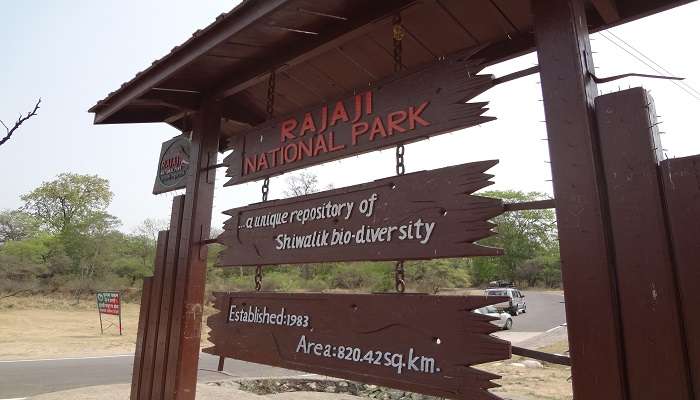 hotels in rajaji national park