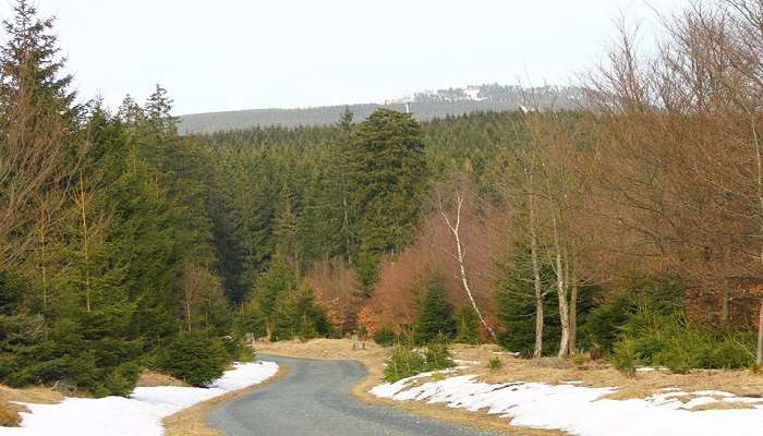 About Harz National Park