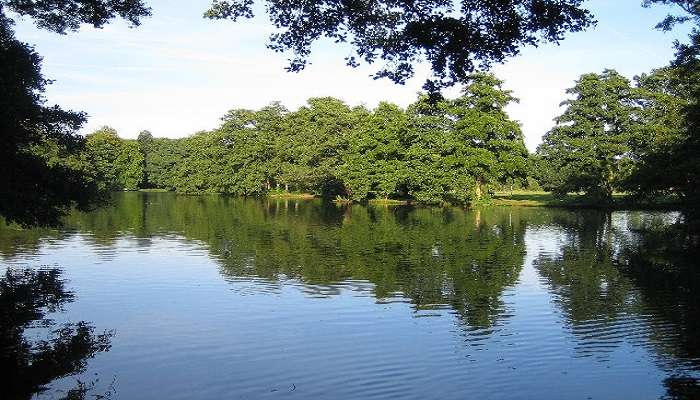 The Lake in Boultham Park is extremely beautiful.