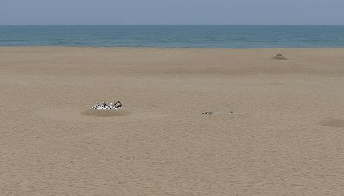 Covelong Beach