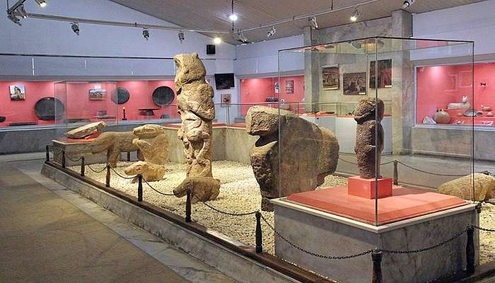 Museum showcasing local artefacts