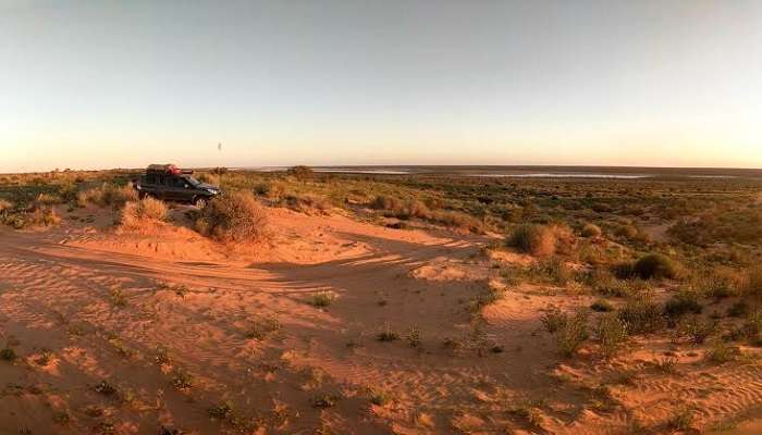 Dune Bashing: Croisade dans le désert Simpson