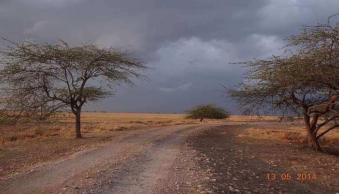 Pleasant climate observed at Blackbuck National Park in Gujarat