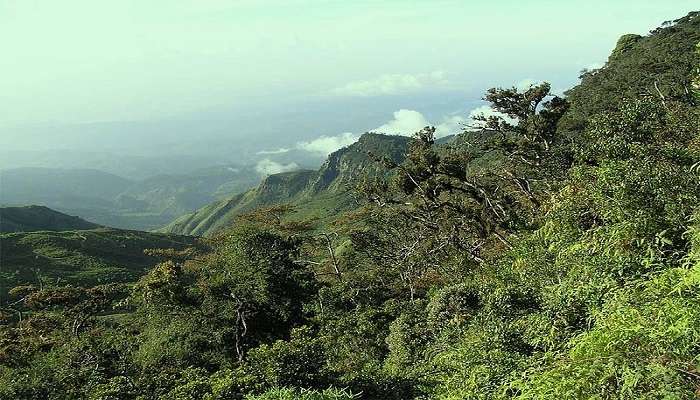 Visit the hortons national park. 