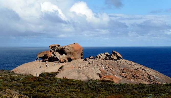 Kangaroo Island: Câlinez-vous avec des koalas adorables