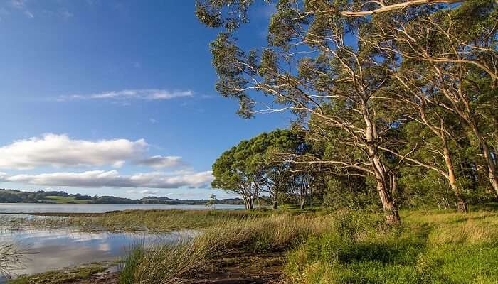 Nature attractions in Nowra