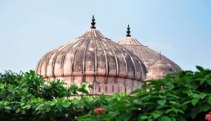 The arches are one of the major key features of Tomb of Abdul Wahab Khan Kurnool.