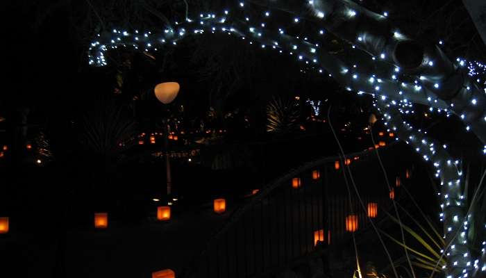 Las Noches De Las Luminarias Au Jardin Botanique Du Désert