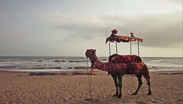 Madhavpur beach gujarat