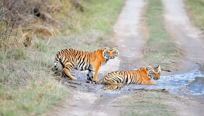 Ntanki National Park