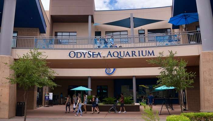 OdySea Aquarium