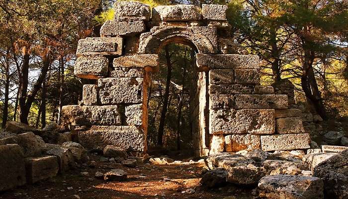 the remains of Phaselis are overgrown with pine trees like this arched doorway in Kemer