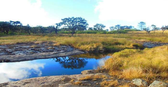 Phawngpui National Park A Nature Lover's Paradise In 2025