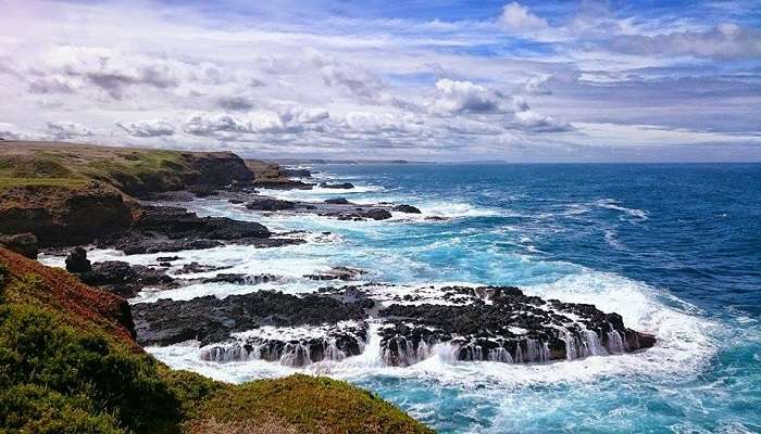 Phillip Island: le meilleur moment pour saluer les heureux pingouins