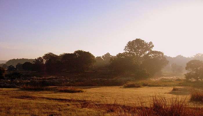 Resorts in Kanha National Park