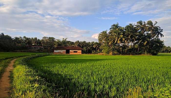 Resorts in Ottapalam