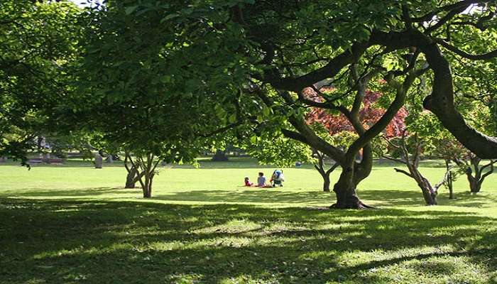 You may visit The Arboretum during the evening. 